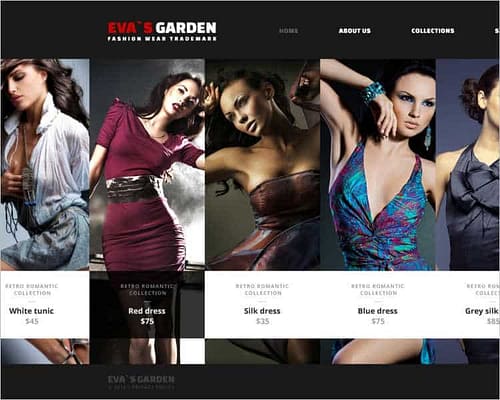 web6 (1)
